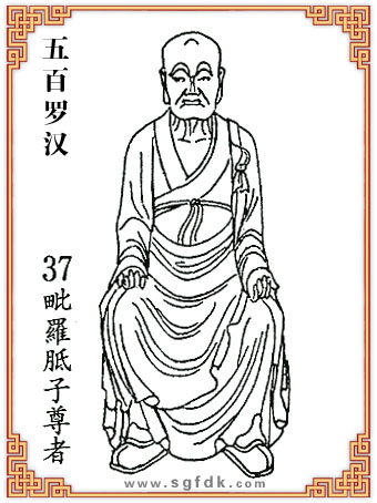 ����_�h-37���_�������� 