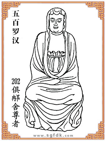 ����_�h-202����������