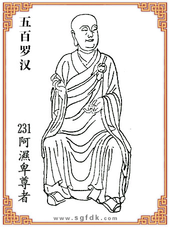 ����_�h-231��������