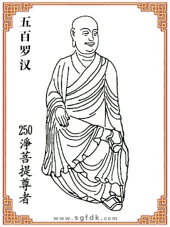 ����_�h-250�Q��������