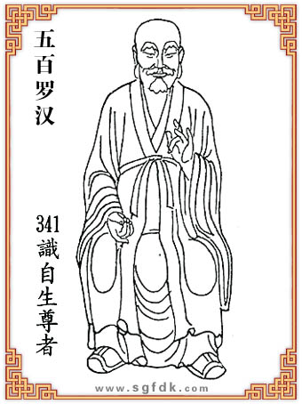 ����_�h-341�R��������